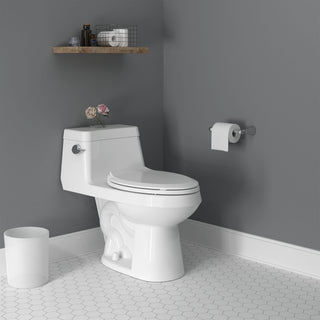 Colony 1PC 4.8Lpf Chair Height Elongated Toilet with Seat