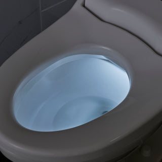Advanced Clean 2.5 Electric SpaLet Bidet Seat with Remote Operation