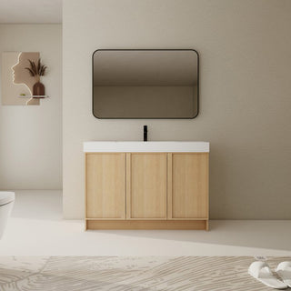 Atlanta 48" x 18" Vanity with Countertop