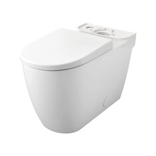 Essence Right Height Elongated Toilet Bowl