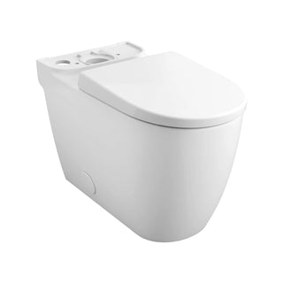 Essence Right Height Elongated Toilet Bowl