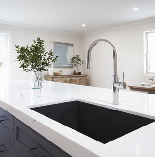 Enora Diver Single Handle Kitchen Faucet - 2.2 GPM