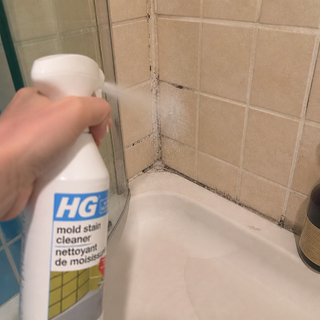 How to Clean Shower Mold Without Scrubbing