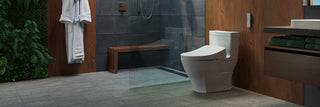 1-Piece Toilets