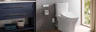 2-Piece Toilets