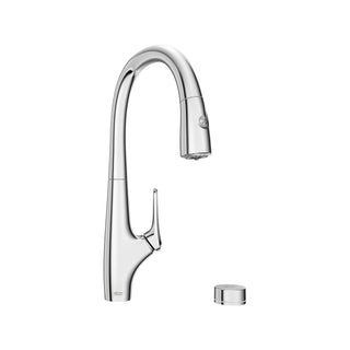 Saybrook Single Handle Pulldown Dual Spray Kitchen Faucet with Filter - 1.5GPM