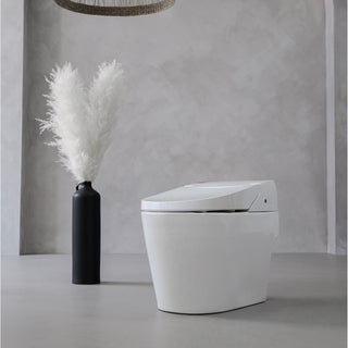 iKleen2 Smart Toilet