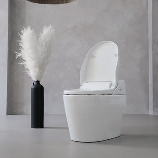 iKleen2 Smart Toilet