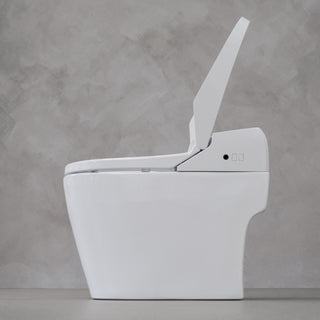 iKleen2 Smart Toilet